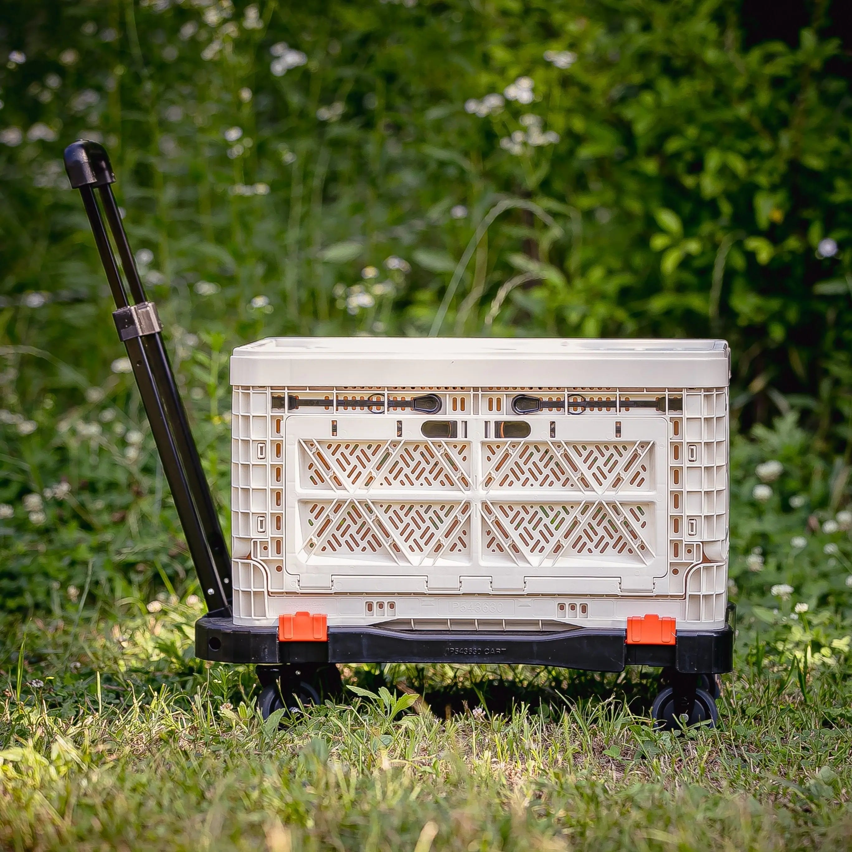 48L FOLDING CART - BIGANT