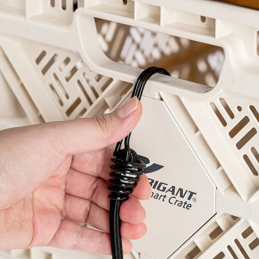 BUNGEE CORD SET - BIGANT