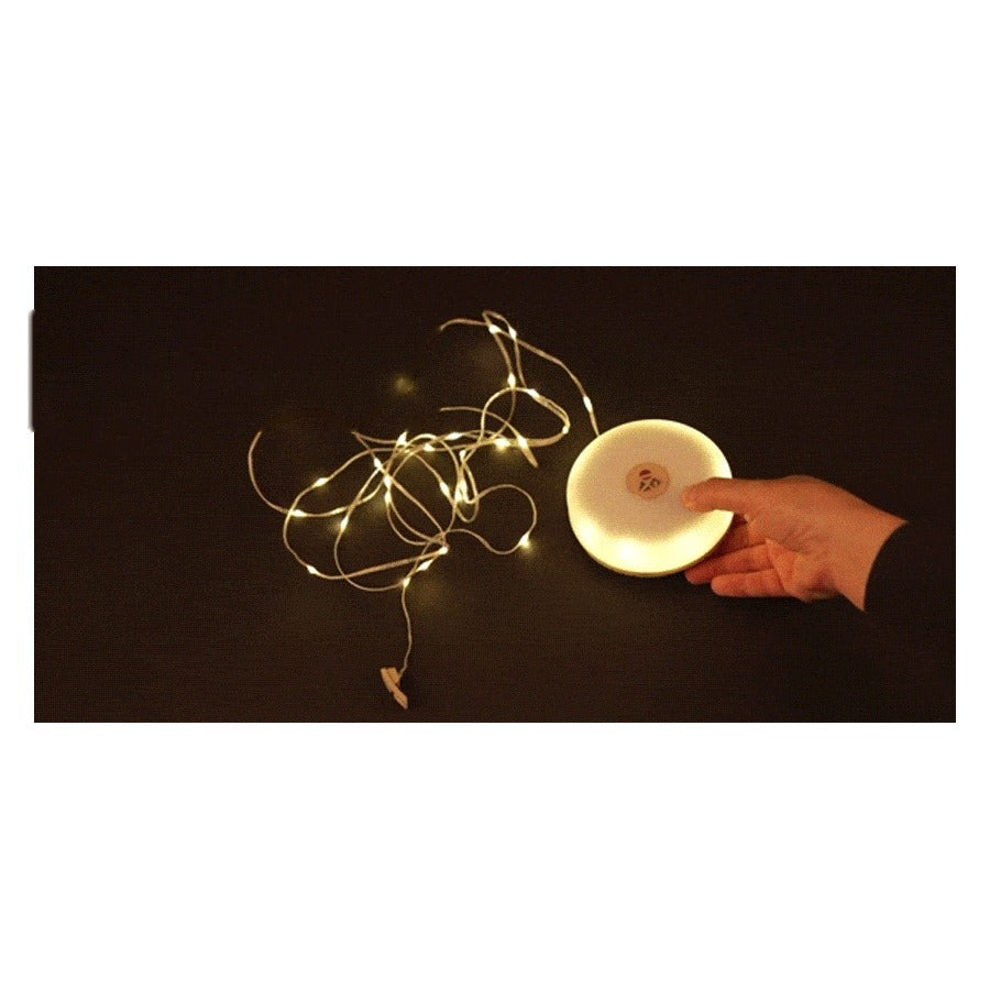 Evernine Lily Lantern powering on in string warm light mode
