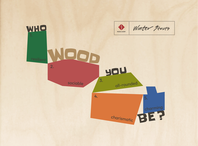 Who Wood You Be? The Ultimate Wood & Burn Winter Stove Guide