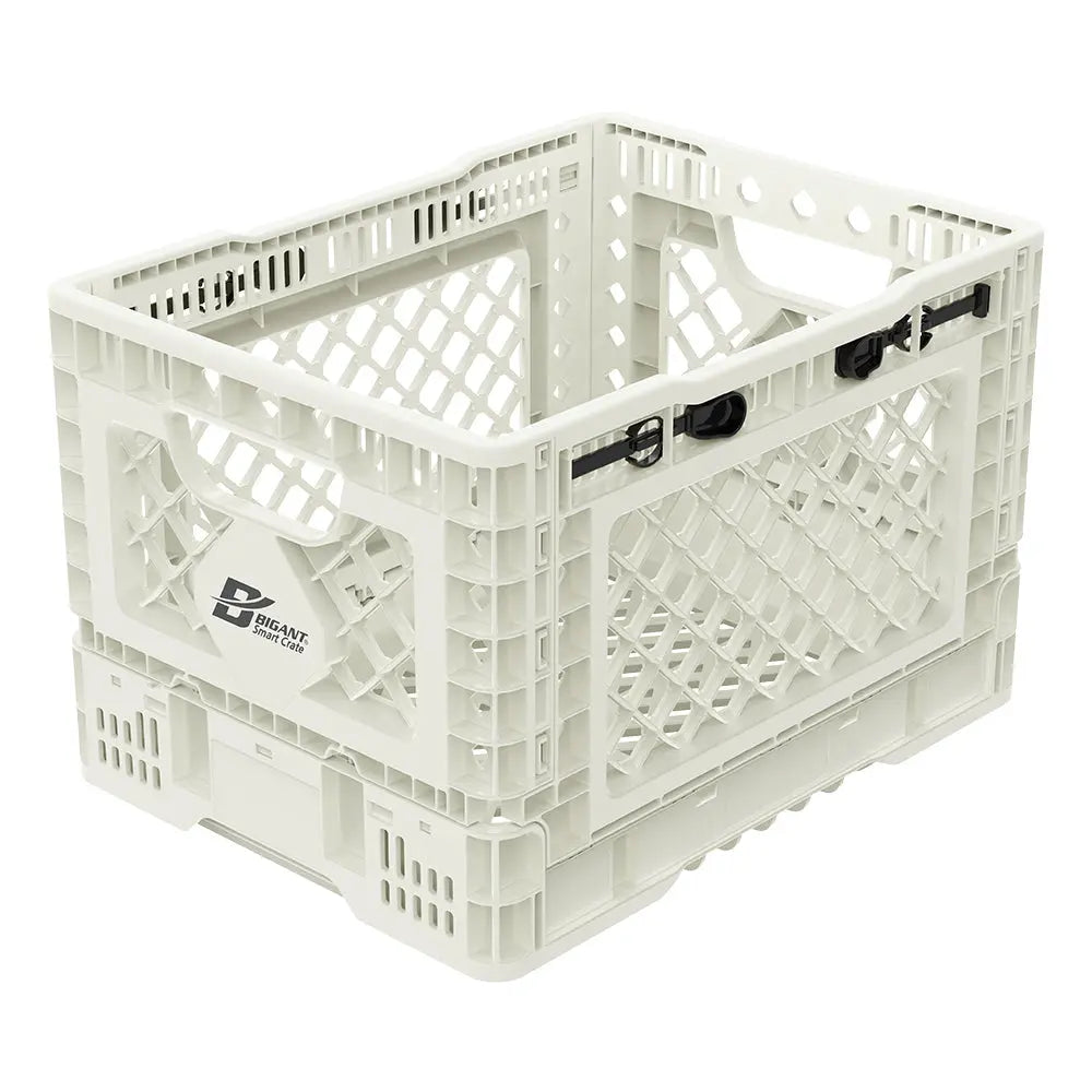 Folding Crate - BIGANT