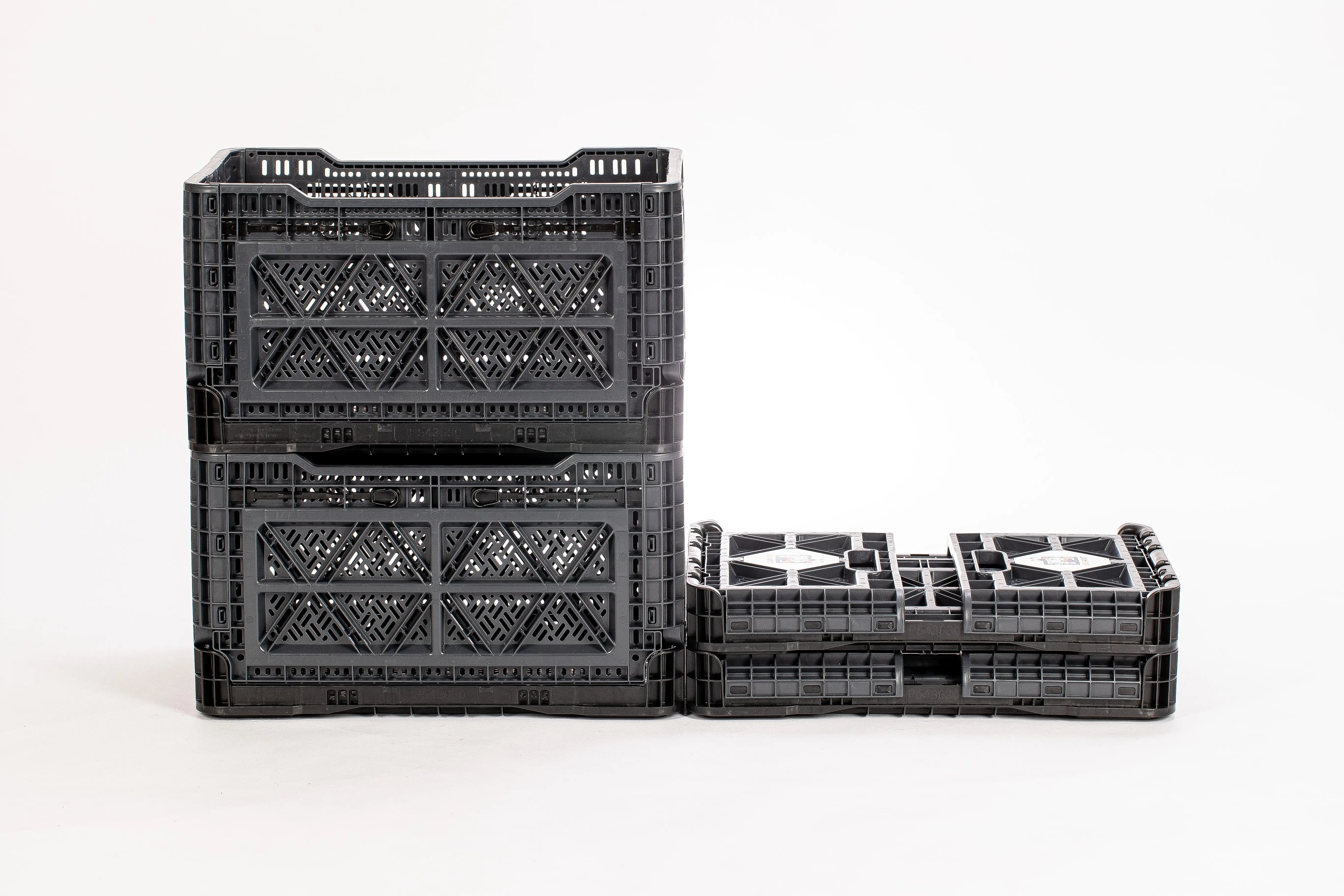 Folding Crate - BIGANT