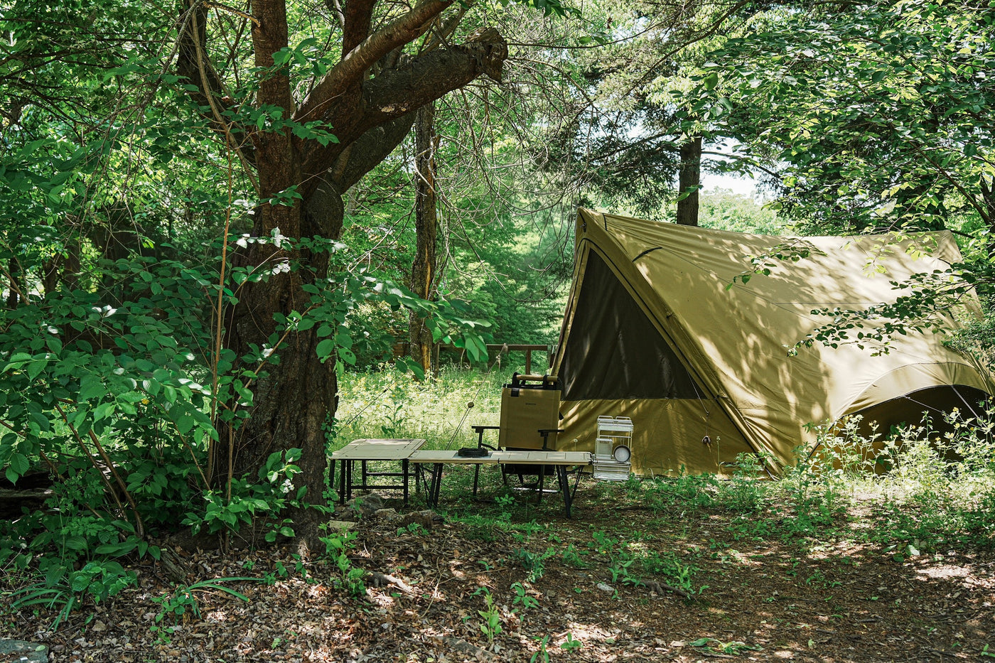 BUENOFE IGT Connect Table 1.5 set up as part of a long low camp table beside a tan tent and camp chair in a sunlit green forest clearing, styled as a relaxed backcountry campsite.