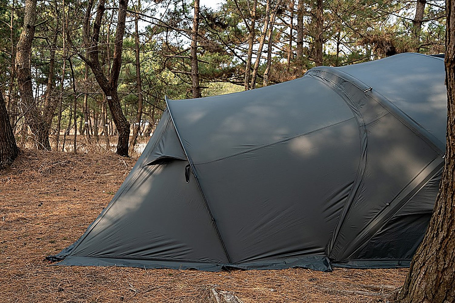 Side view of the Shelter GM Vestibule's grey canopy pitched in a pine forest campsite