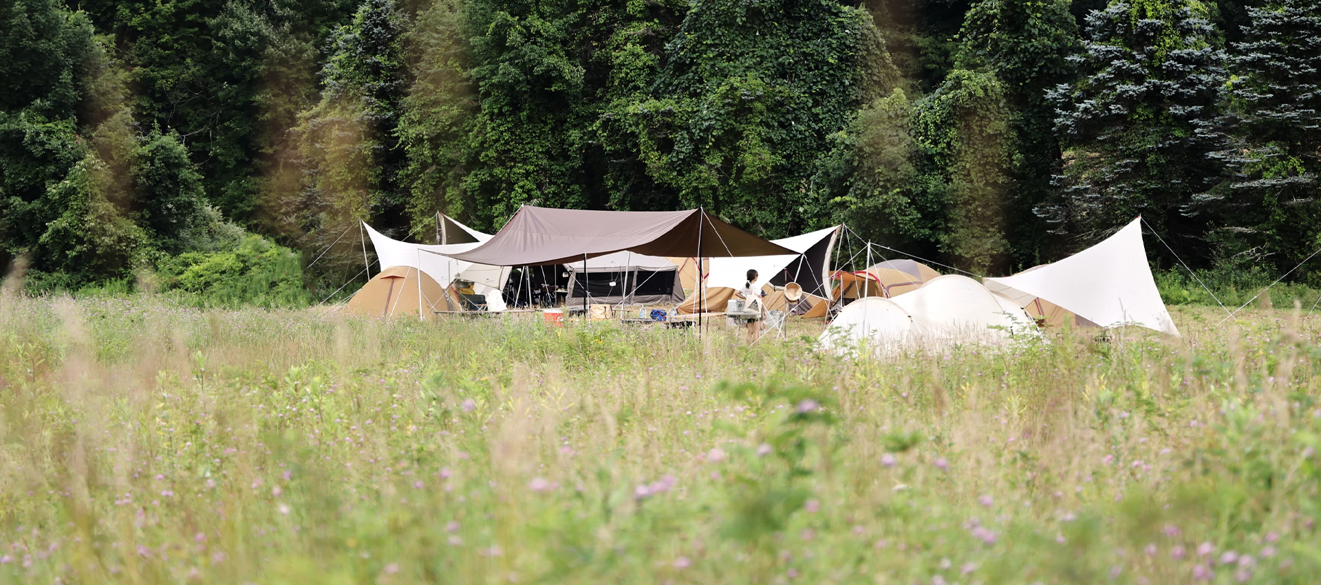 Snow Peak Gears, Tarp and Tents, are on the ground