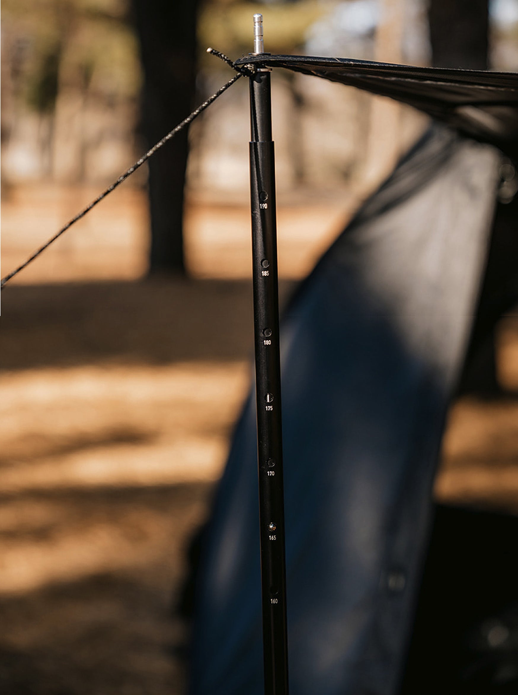 theEarth GEO AIR4 Slide Side Pole (160-190)