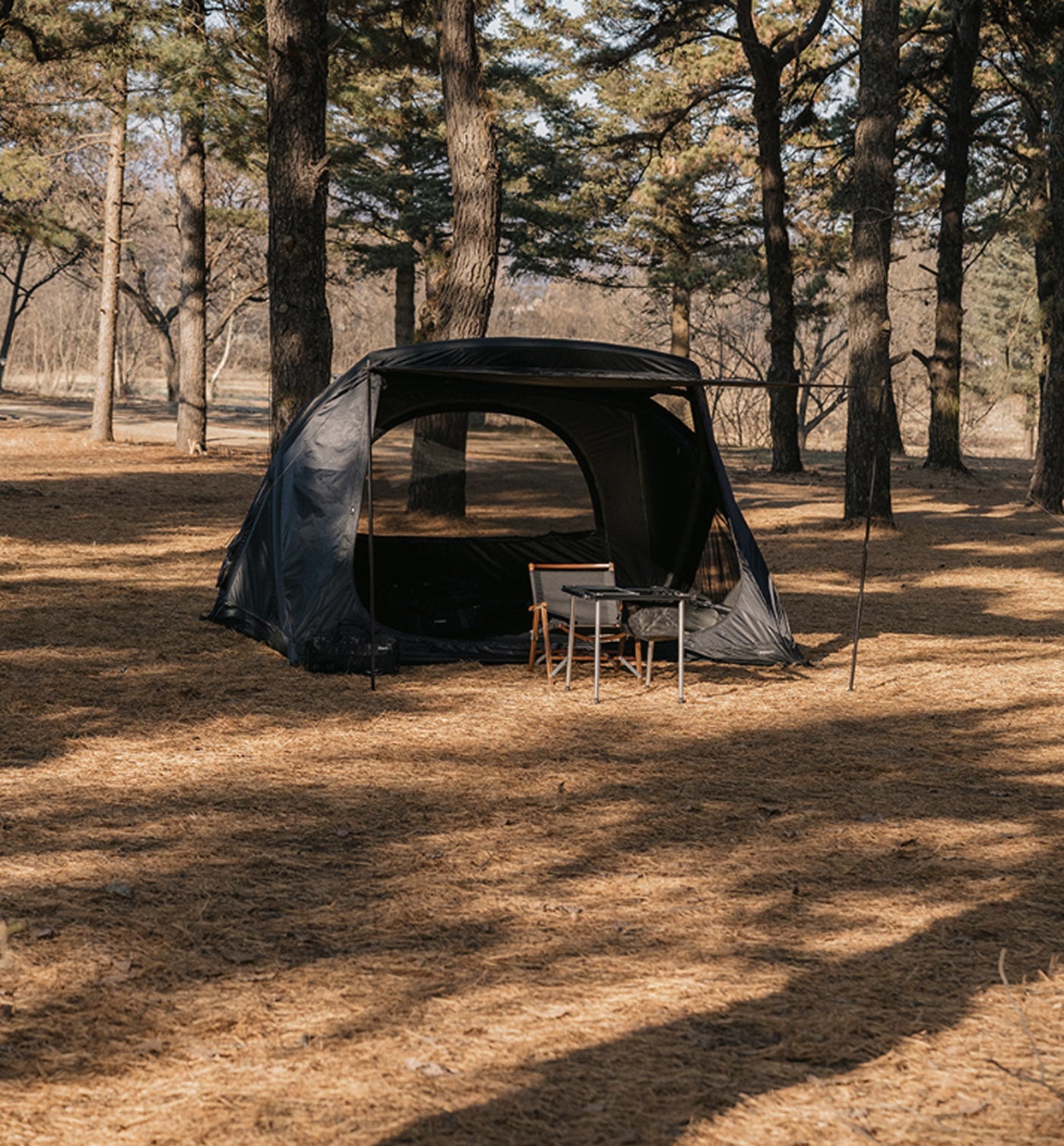 theEarth GEO AIR4 Tent, Black, lit interior at dusk in a pine forest campsite