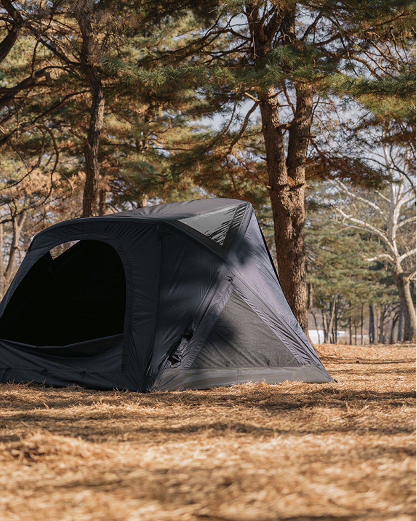theEarth GEO AIR4 Tent, Black, front three-quarter view pitched in a pine forest campsite